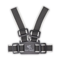 Rendinelle primi passi Grey&White