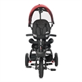 Tricicli ZIPPY /gomme ad aria/ RUBY
